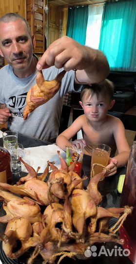 Копчëные перепела