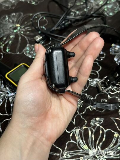 Электроошейник для собаки