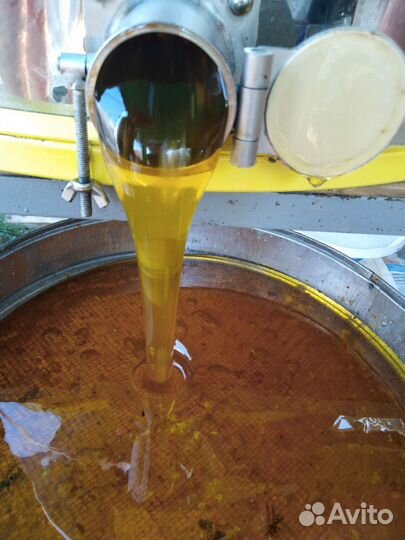 Мед Подсолнух