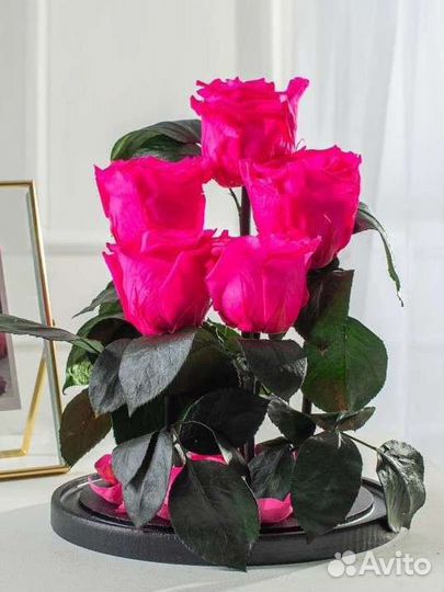 Роза в колбе оптом и в розницу