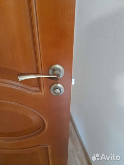 Дверь натуральный шпон