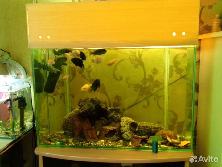 Аквариум