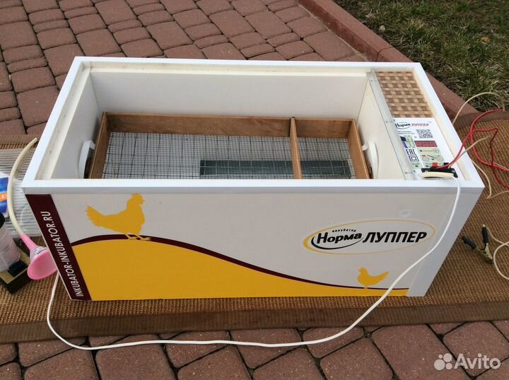 Инкубатор Норма (Блиц) Луппер 72 универсальный