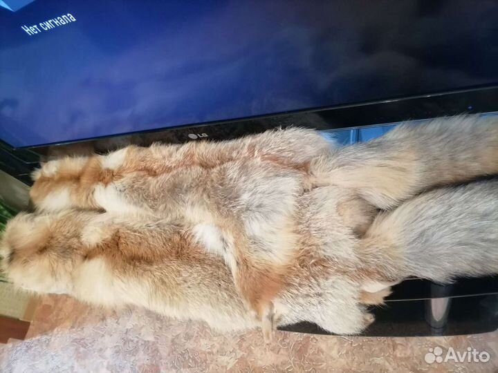 Шкурка животного