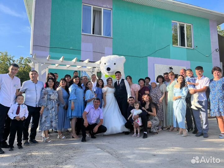 Белый медведь и панда