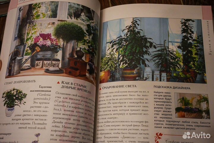 Книги для дачников