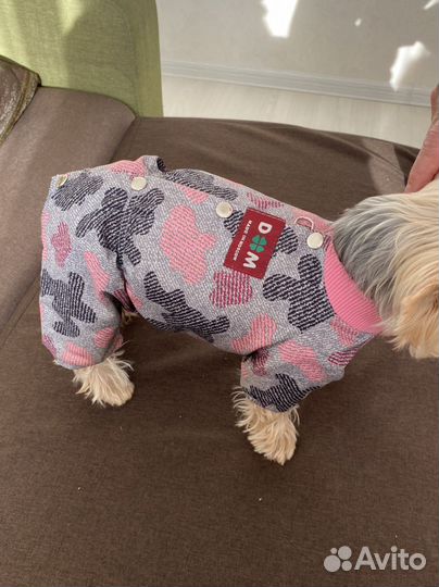 Костюм для собак