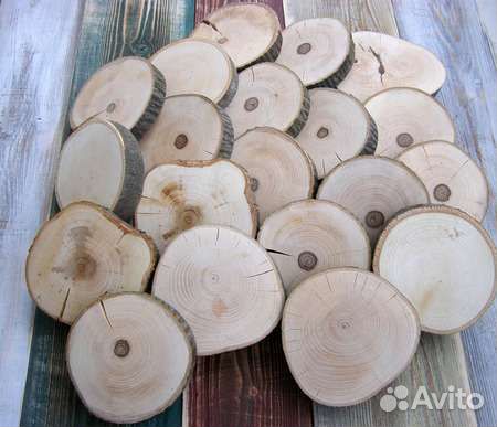 Спилы дерева