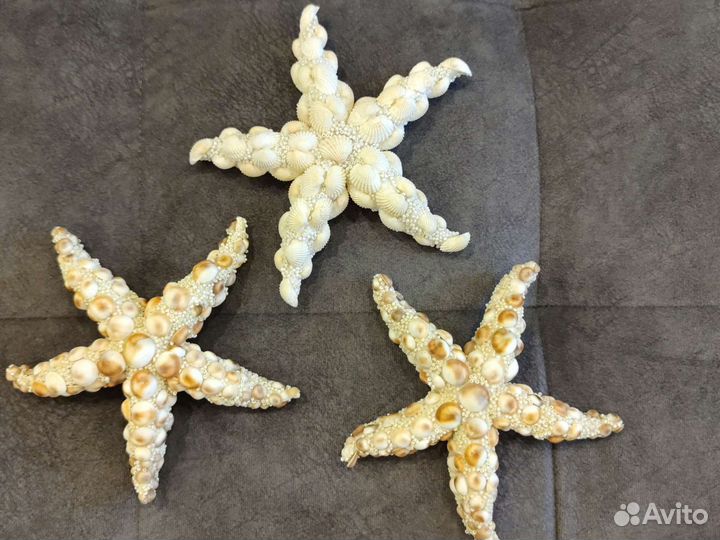 Морские звёзды