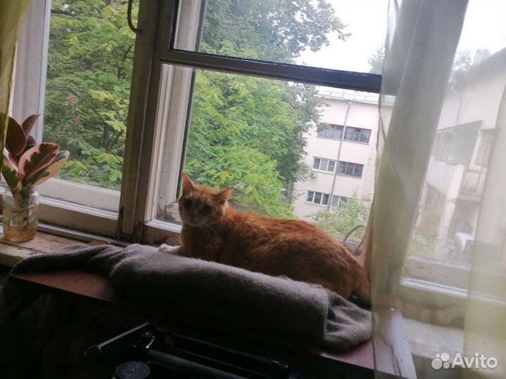 Печатная машинка Москва времен СССР