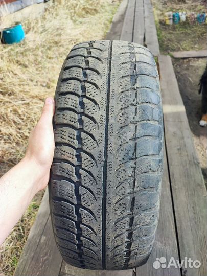Amtel NordMaster CL 205/55 R16