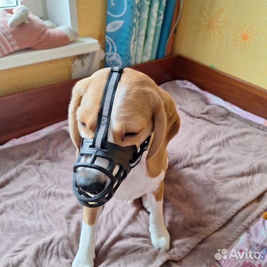 Намордник для собак