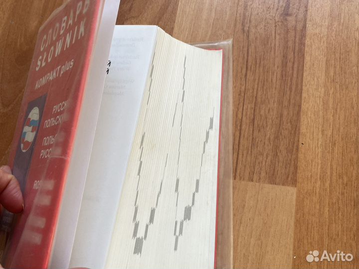 Польский язык