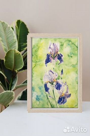 Ирисы в саду. Акварельная картина
