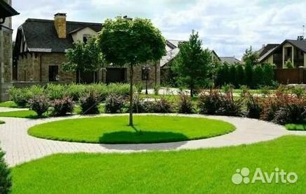 Укладка Рулонного газона