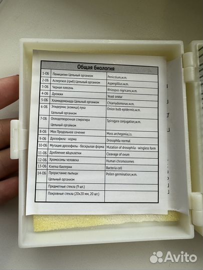 Книга Невидимый мир и набор микромир