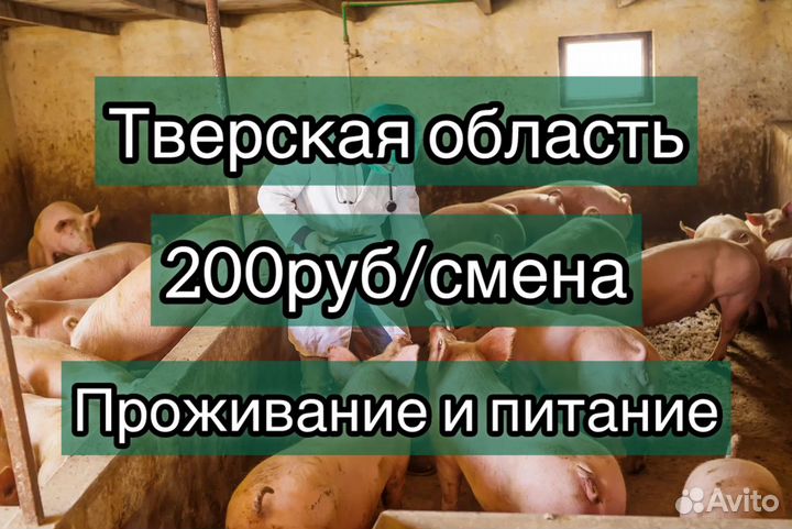 Оператор на ферму. Вахта с проживанием и питанием
