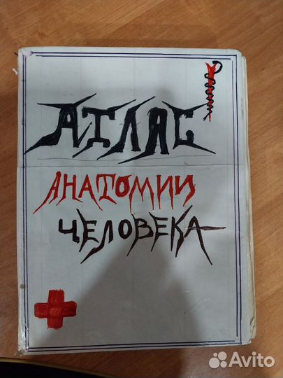 Атлас анатомии человека синельников