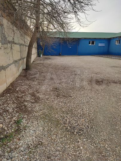Торговая площадь, 560 м²