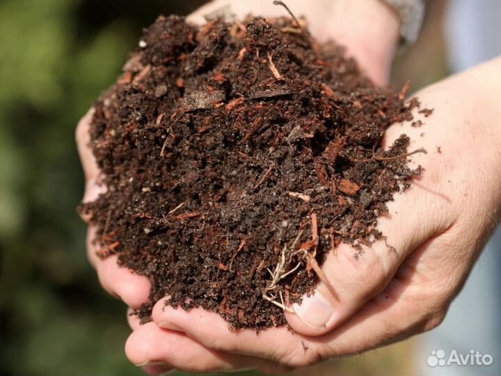 Торф. Брикет