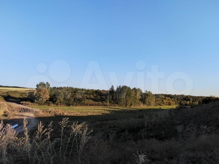 Участок 33,3 га (СНТ, ДНП)