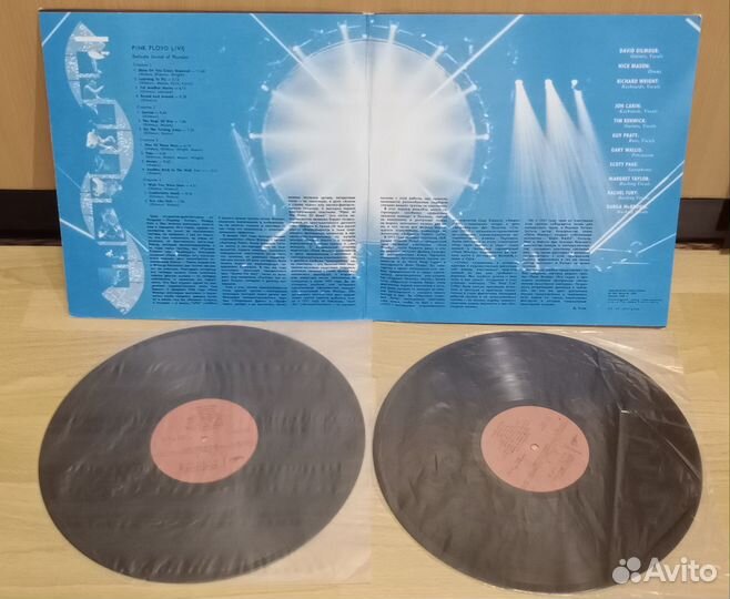 Pink Floyd delicate sound of thunder 2LP