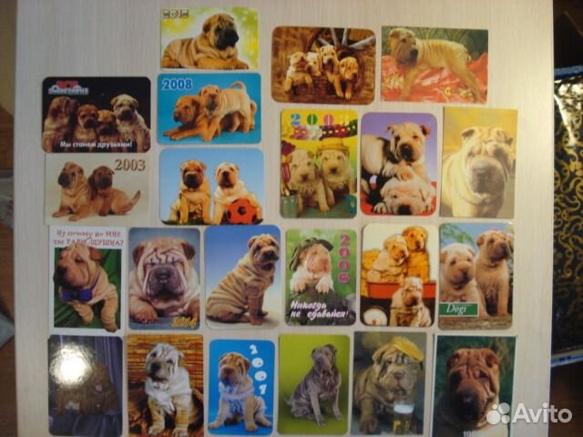 Коллекция календарей порода Шарпей щенок питомник