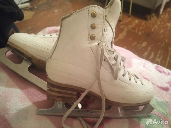 Фигурные коньки jackson elle