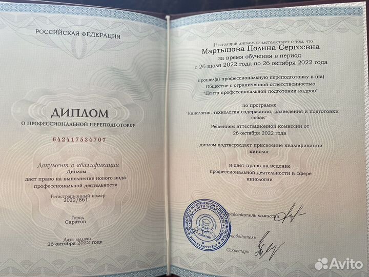 Dog-тренер, кинолог, передержка