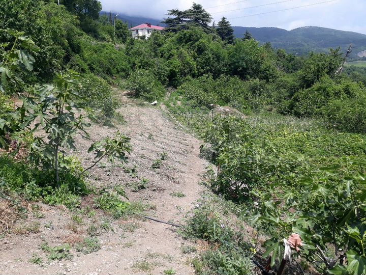 Участок 12 сот. (ИЖС)