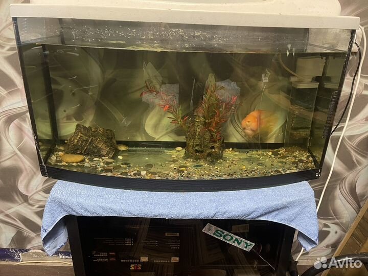 Аквариум на 150 литров