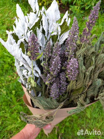 Букеты из трав