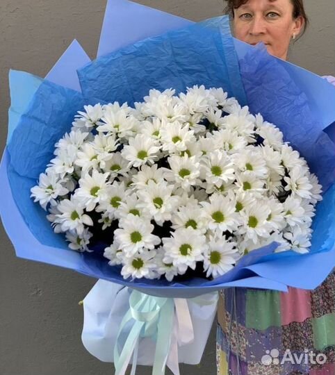 Цветы хризантемы