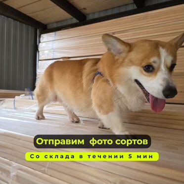 Вагонка штиль из лиственницы доставка по Москве и мо — оперативная доставка