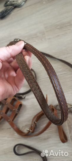 Намордник, поводок для собаки