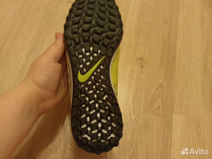 Сороконожка