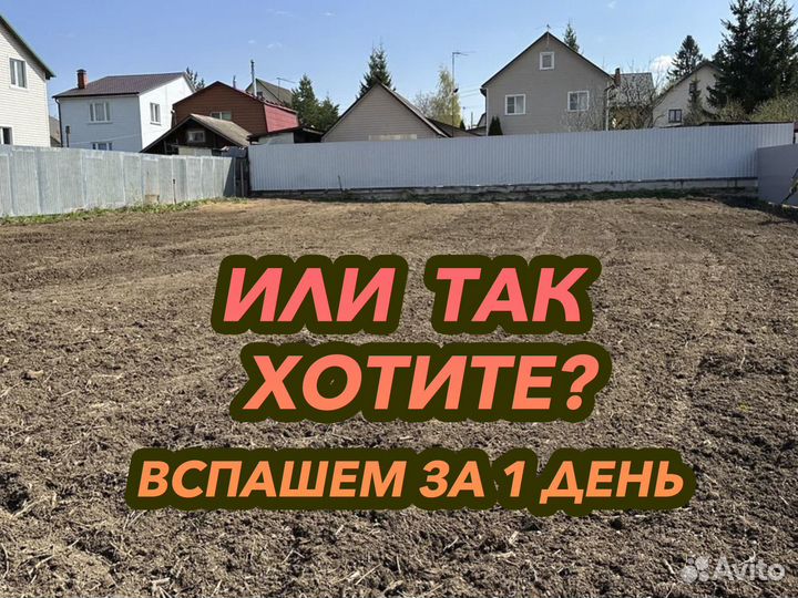 Расчистка участка от деревьев в Воскресенске