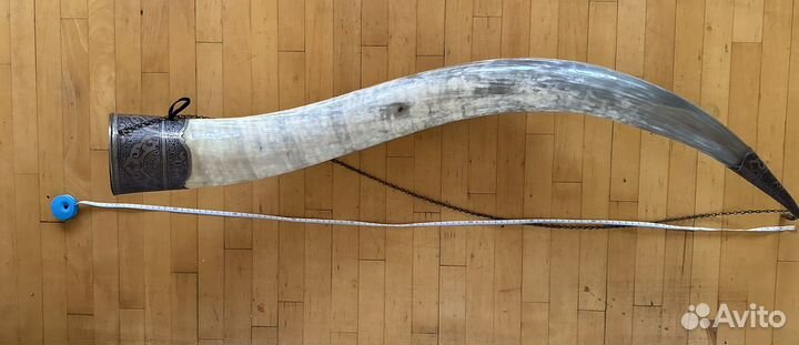 Огромный рог африканского буйвала Антиквариат