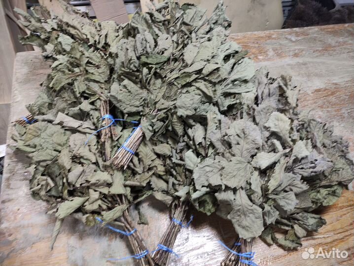 Дубовые веники для бани