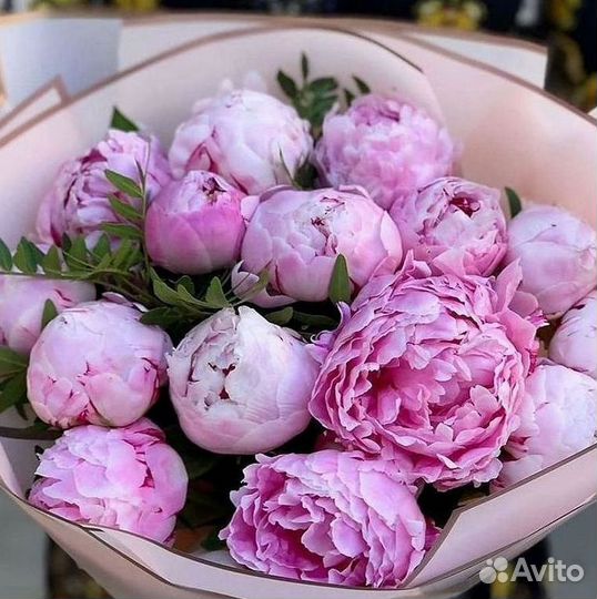 Пионы Букет пионов