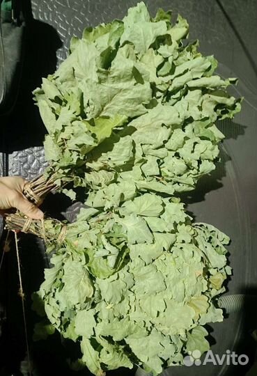 Отправка веников на север