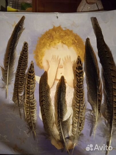 Перья фазана