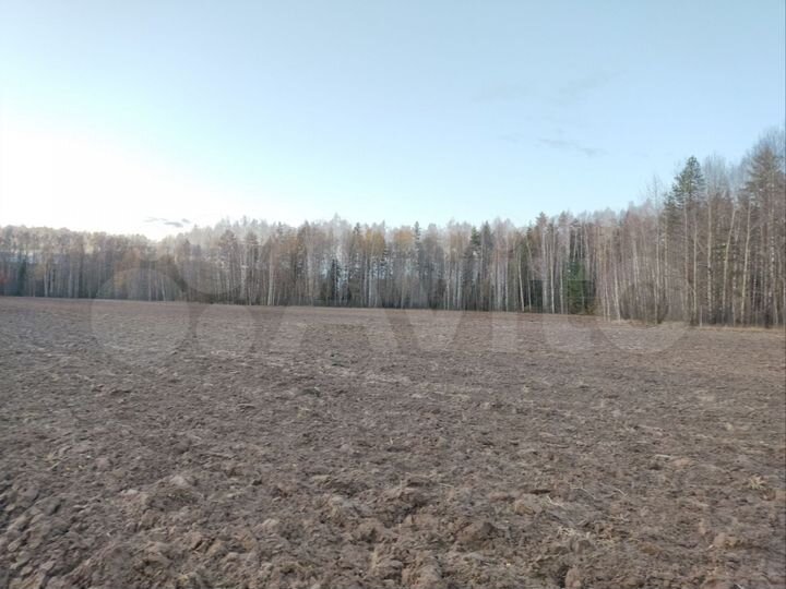 Участок 6,3 га (СНТ, ДНП)