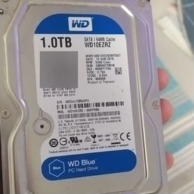 Жёсткий диск HDD WD Blue (1 TB)