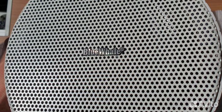 Blue Whale CS-218 уличная аудиоколонка 40 Вт