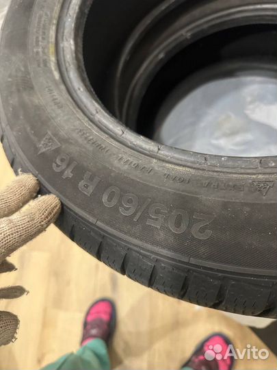 Continental ContiWinterContact TS 830 P 205/60 R16 91H