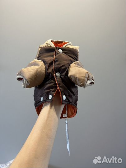 Куртка для собак мелких пород