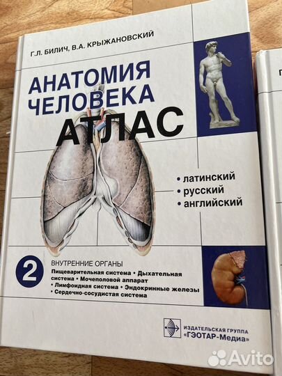 Атлас анатомии человека