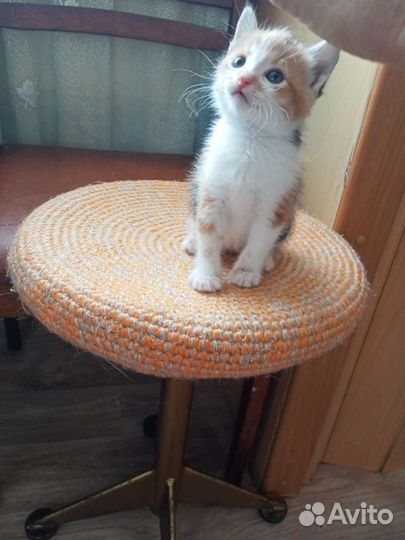 Крошки на ладошке