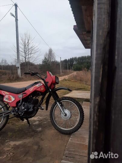 Зид Пилот 50